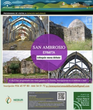MESA DE DEBATE-COLOQUIO ¿COMO SALVAGUARDAR NUESTRA JOYA VISIGODA LA ERMITA DE SAN AMBROSIO?